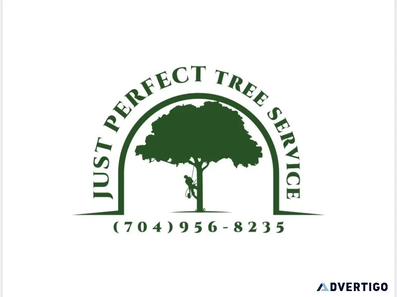 Tree Services 