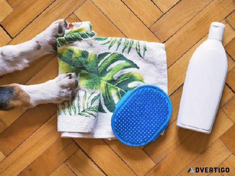 Buy Dog Shampoo and Conditioners Online in India - 2023