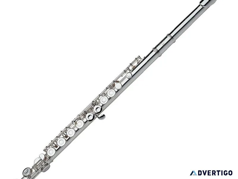 NEW Gemeinhardt 2SP student flute