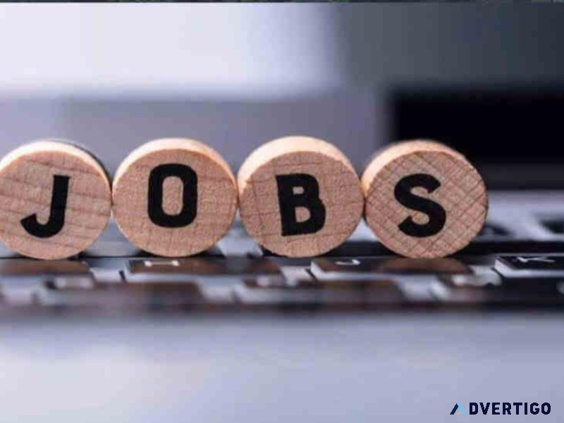 PES HR SERVICES Team Leader &ndash Domestic Sales Process (2-5 Y