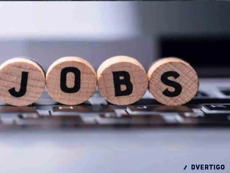 PES HR SERVICES Team Leader &ndash Domestic Sales Process (2-5 Y
