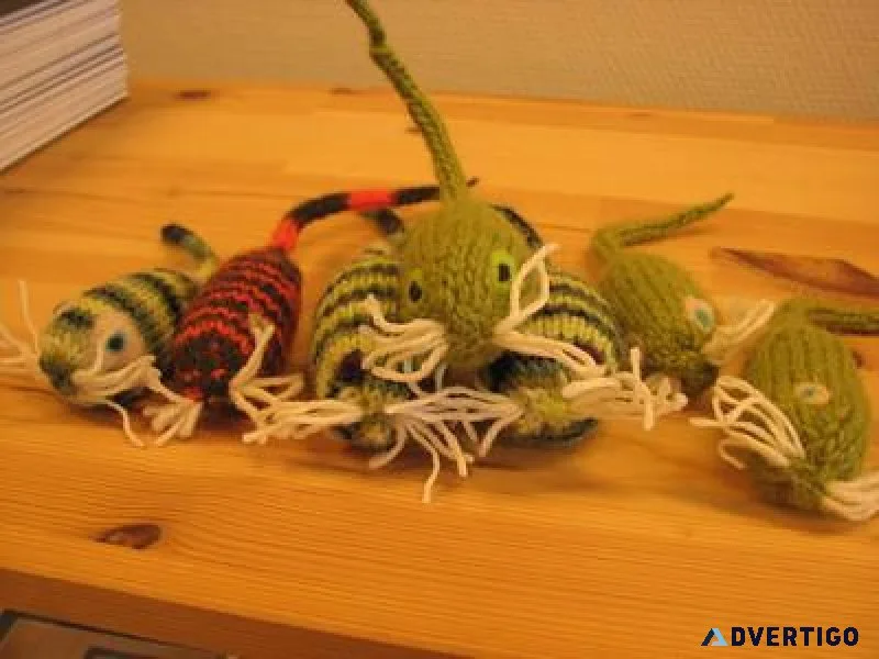 Buy Catnip Toys for cats online at Pawurlz store in India