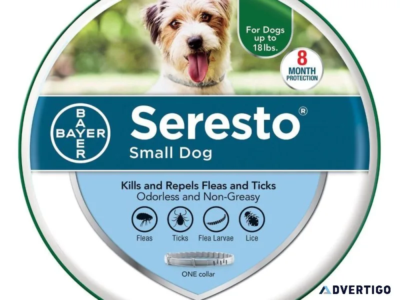 Buy Seresto Flea and Tick Collar for Small Dogs at Lowest Price