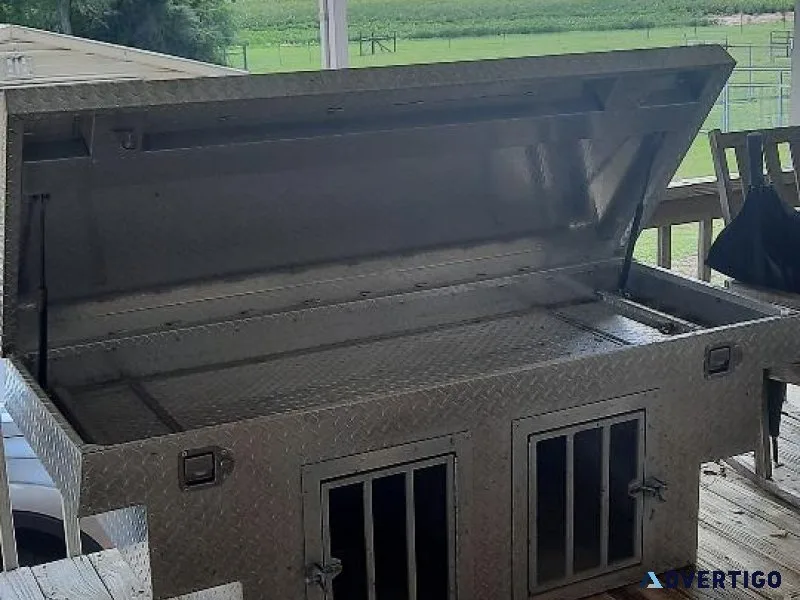 Tool BoxDog Box