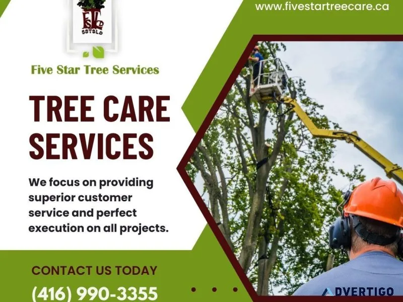 Tree Removal Services in Toronto