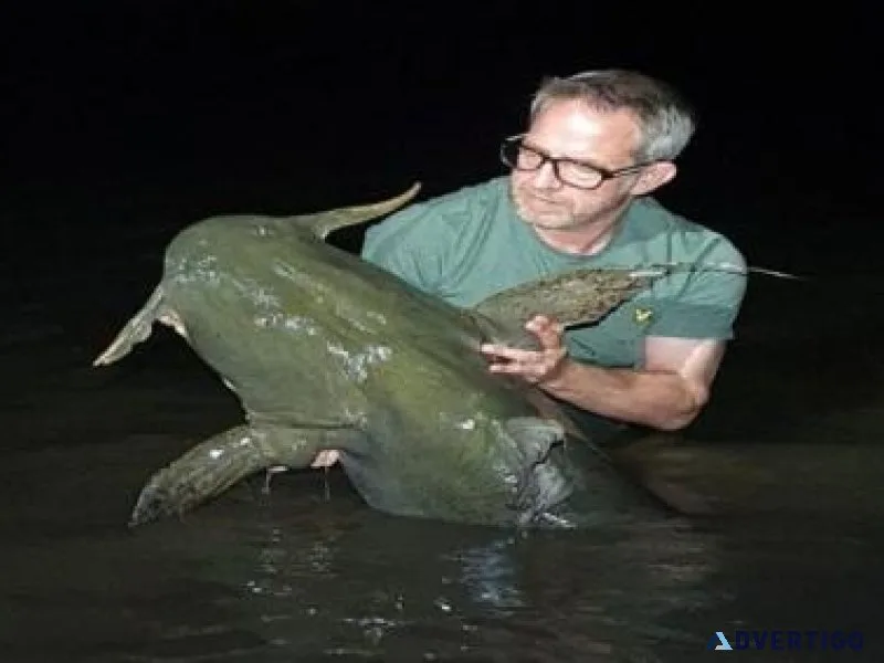 Mahseer fishing camp in india