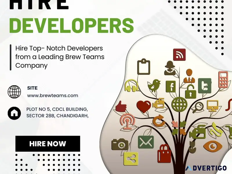 Find the best dedicated developers- brew teams