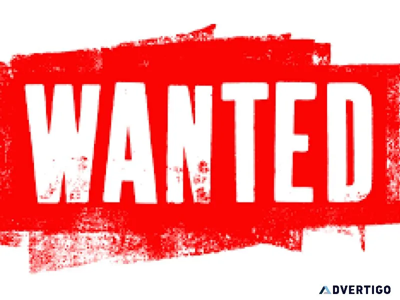 WORK WANTED