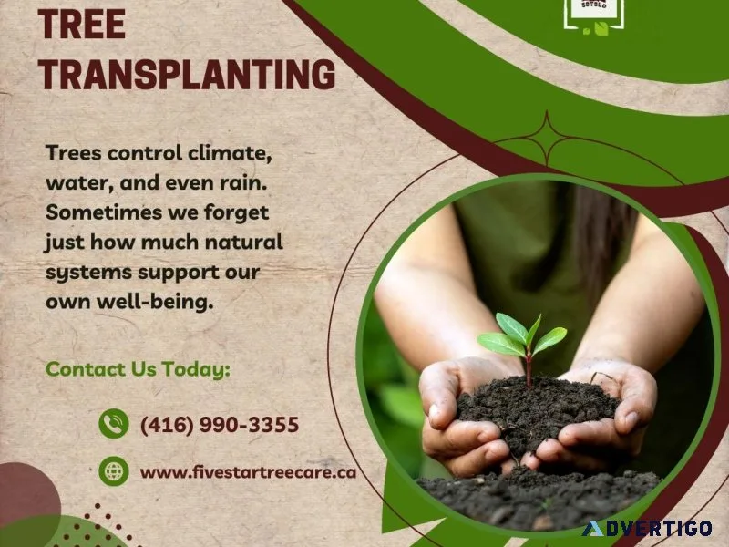 Toronto Tree Planting and Transplanting