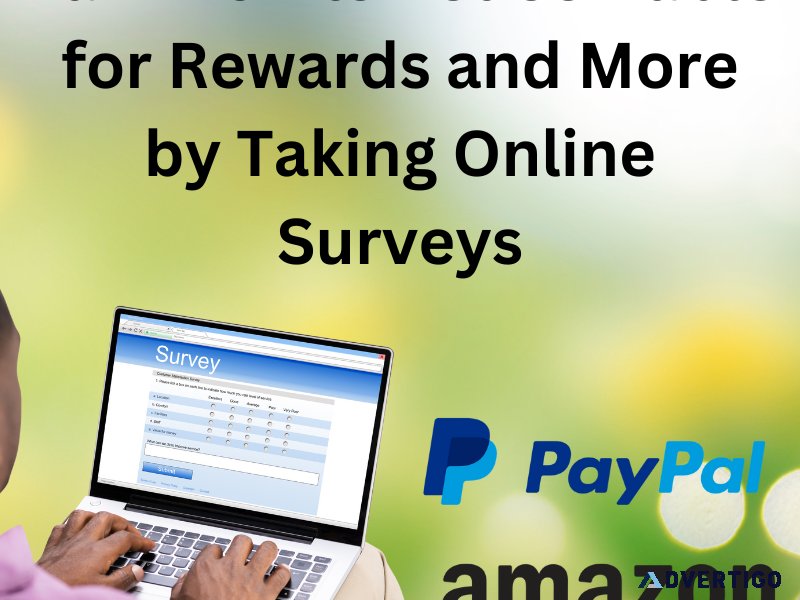 Earn Points Take Online Surveys for Rewards