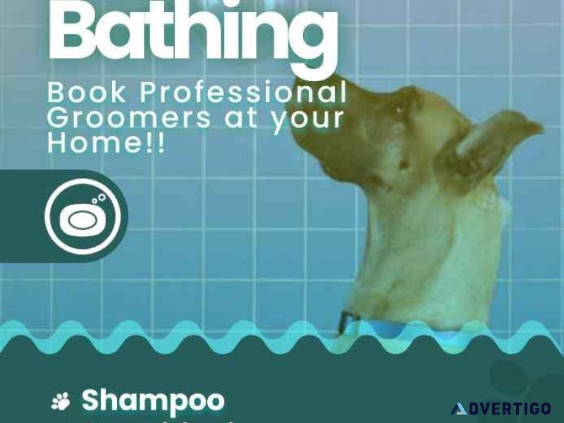 Dog Grooming Kolkata