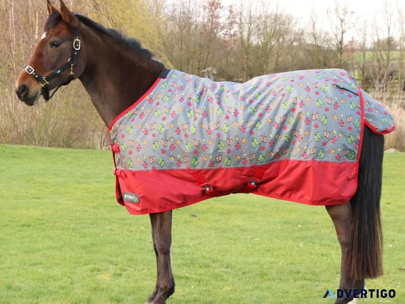 Horse Turnout Rugs Dealer in Kanpur