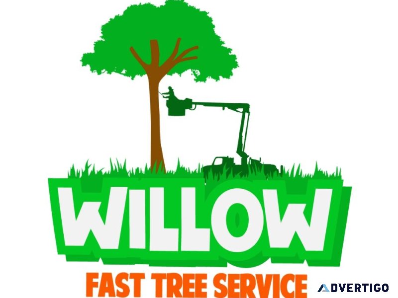 Willow Fast Tree Services LLC