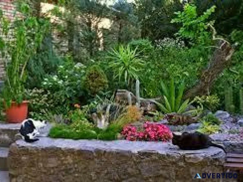 All Families Need TEN Plants for Everyday or CRISIS
