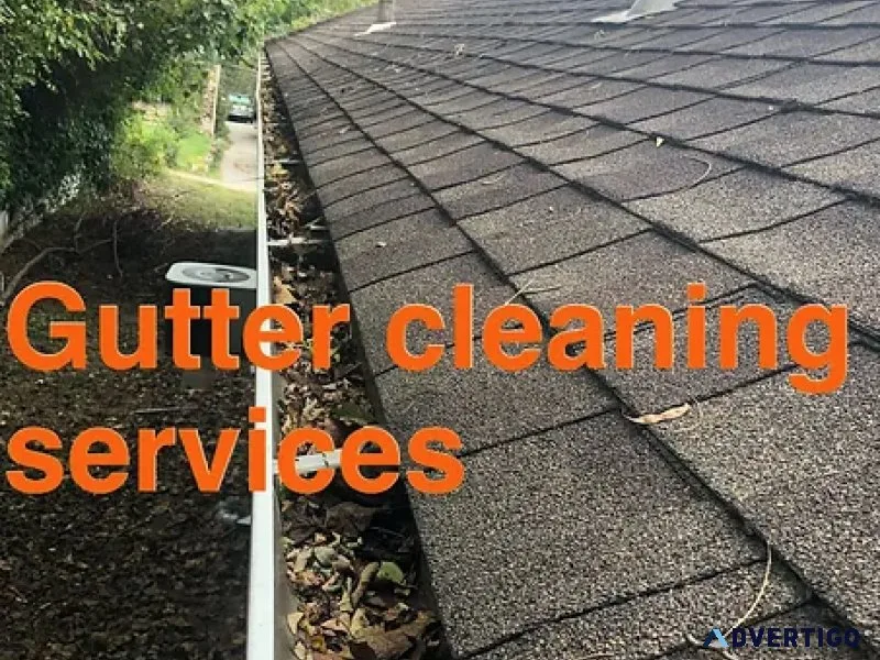 Gutter Cleaning Philadelphia - Gutter Solution