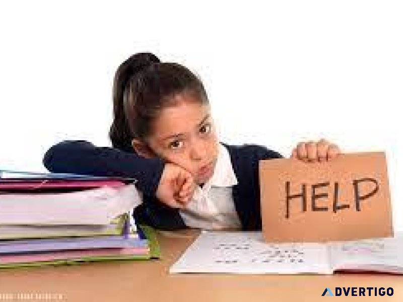Tutoring Unlocks Your Academic Potential.