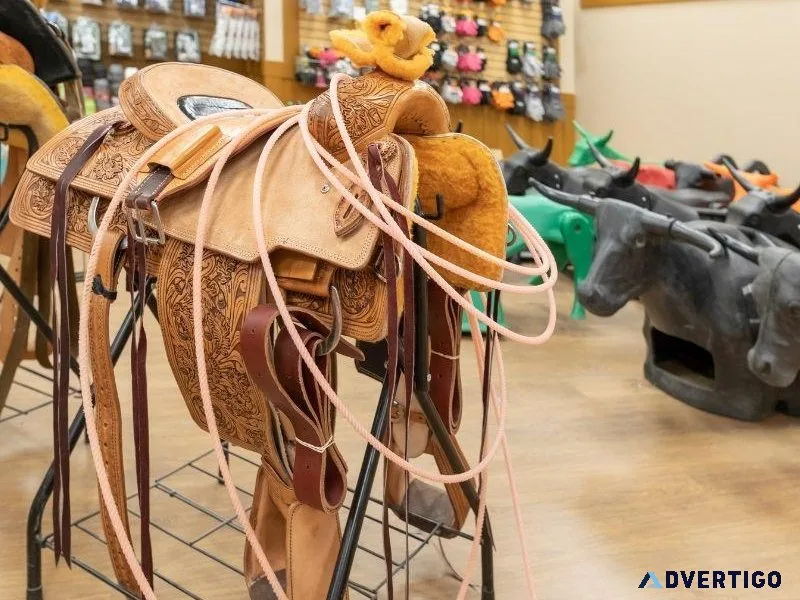 Premium Horse Equipment for Sale
