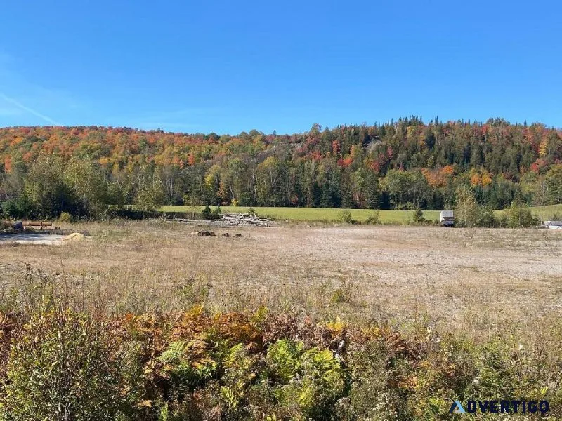 Commercial 49124 sqft land Cure-Labelle Blvd in Labelle