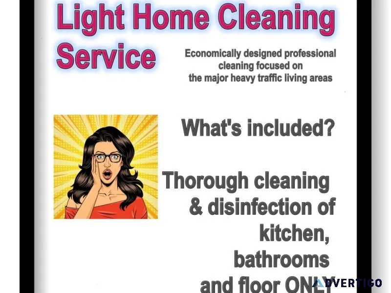 Light Home Cleaning Professional Service