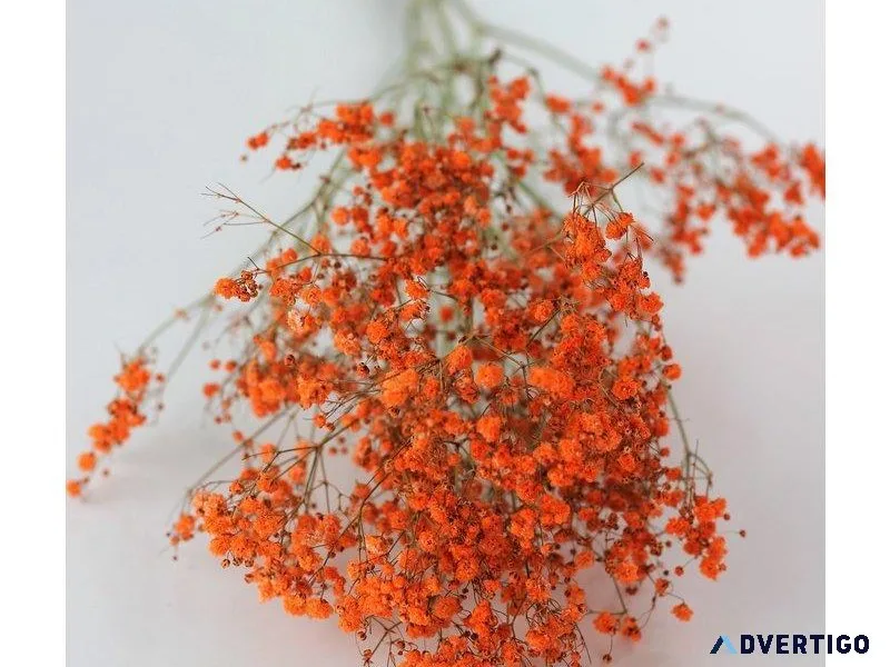 Decorate Your Home with Dried Flowers