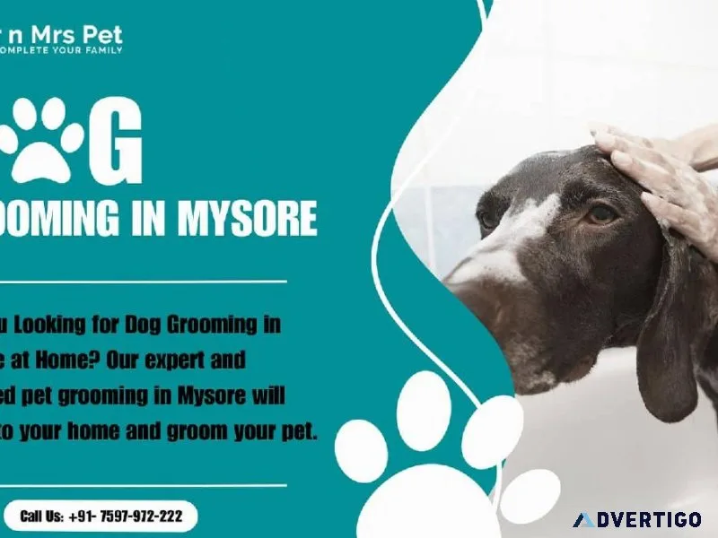 Dog Grooming Services in Mysore