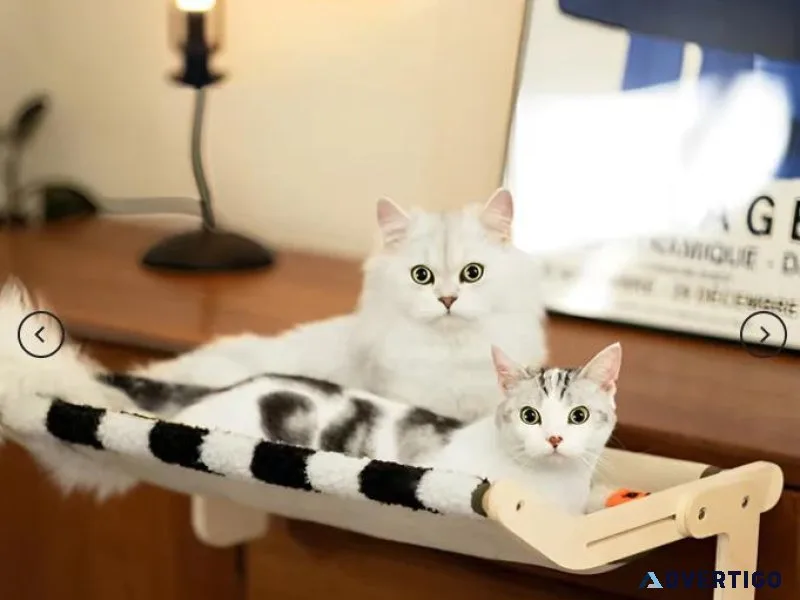 Plaid Cat Hammock  lovepetin.com