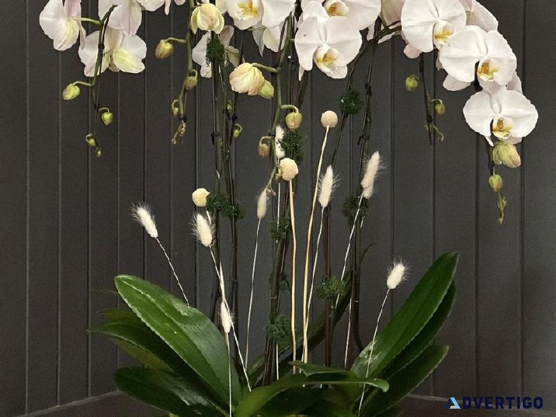 Vancouver s Premier Floral Contractors