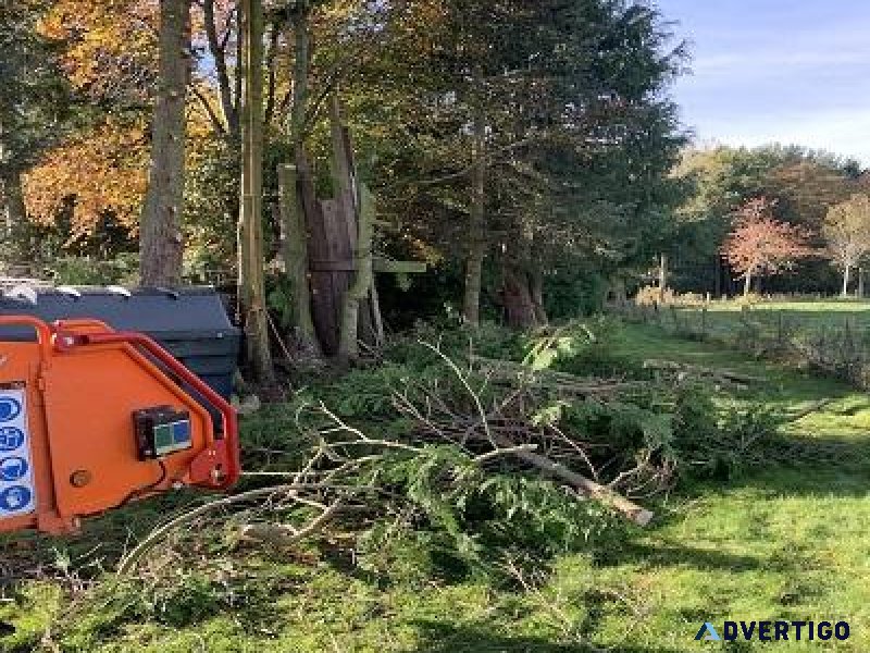 Tree Removal and Tree Cutting Services in Aberdeen
