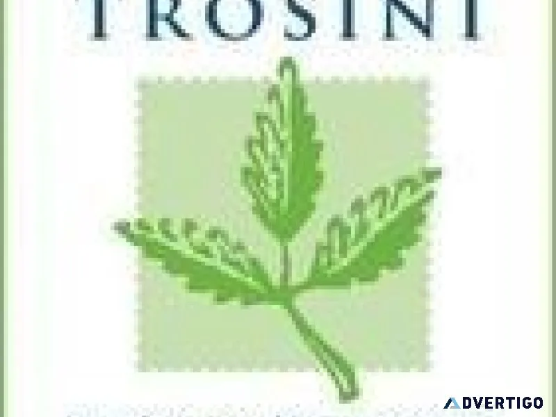 Trosini Landscape Management Inc.