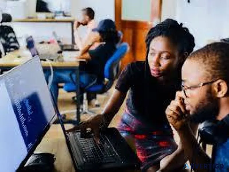 Junior Software Developer