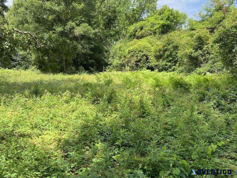 Great Lot Near Beach Blvd in Gulfport