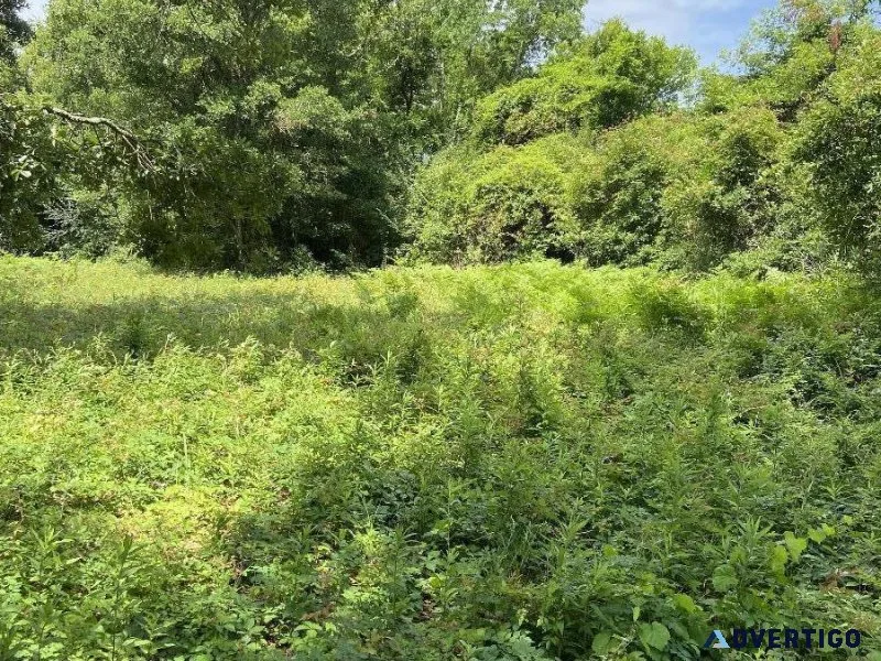 Great Lot Near Beach Blvd in Gulfport