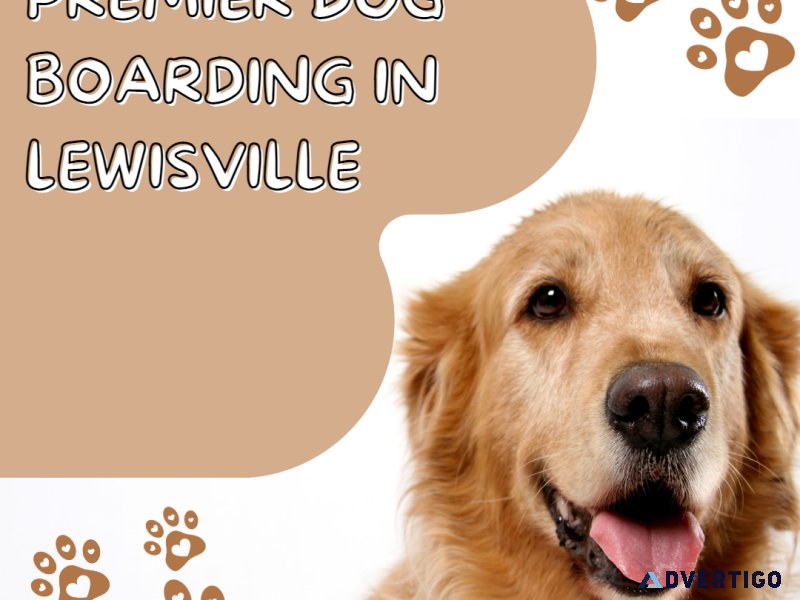 Indulgent Grooming at Paw Oasis Pet Resort