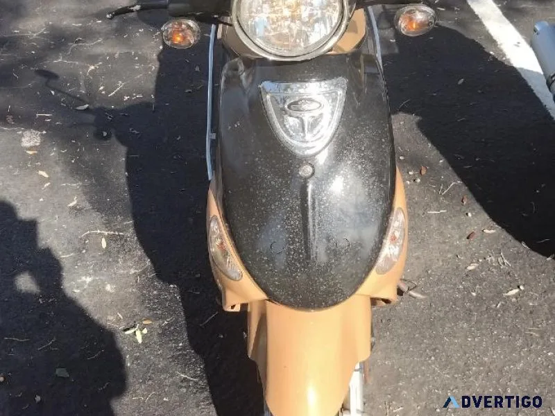 2009 Genuine Scooter Company