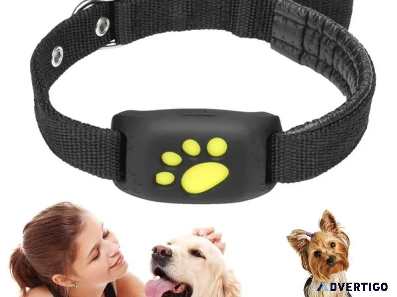 Pet GPS Tracking Collar