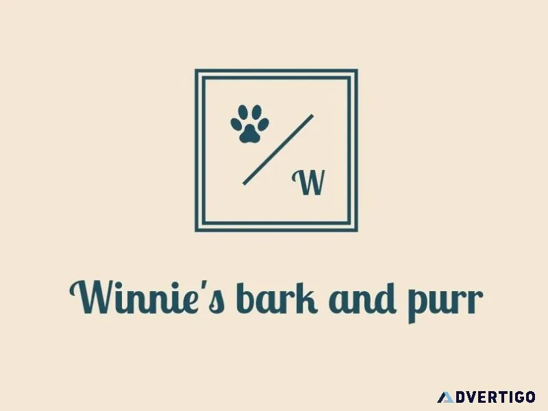 Pet treat store online