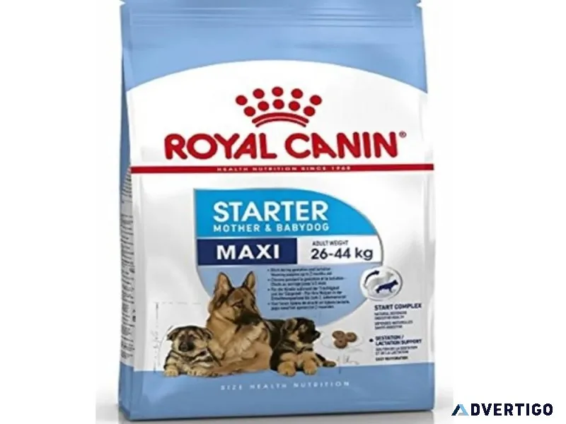 Royal Canin Maxi Starter Buy Online in 2023 - Pawrulz