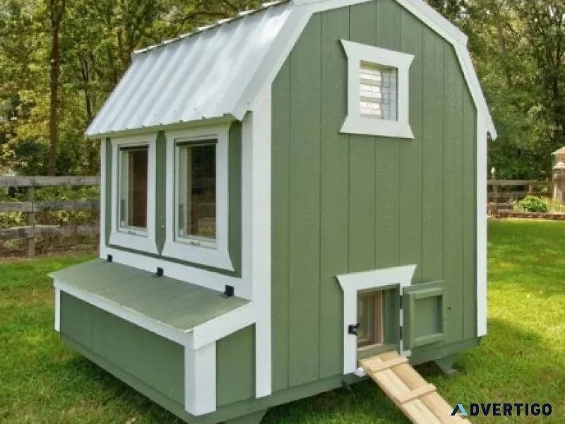 6X6 Barn Style Chicken Coop