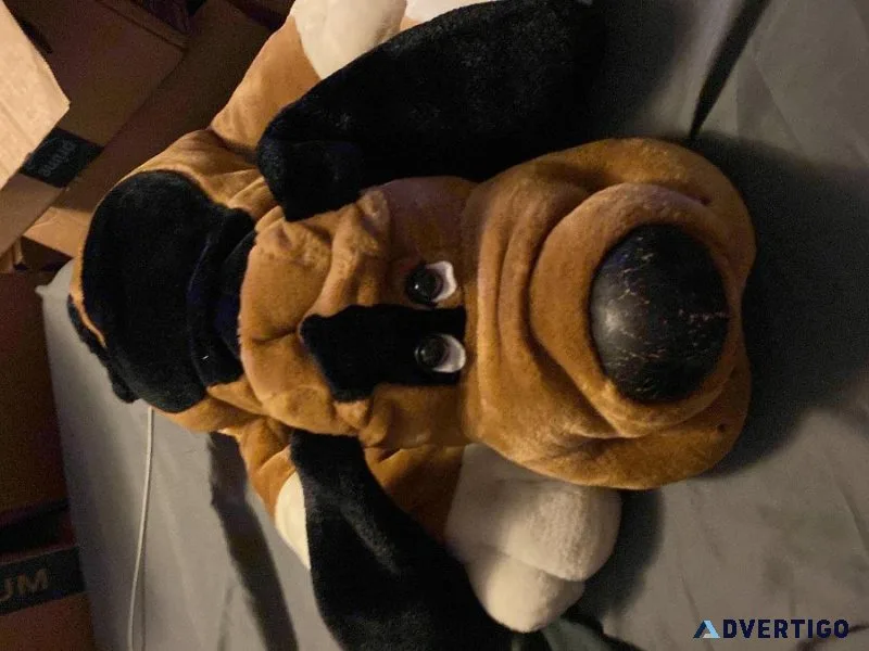 Stuffed animal dog