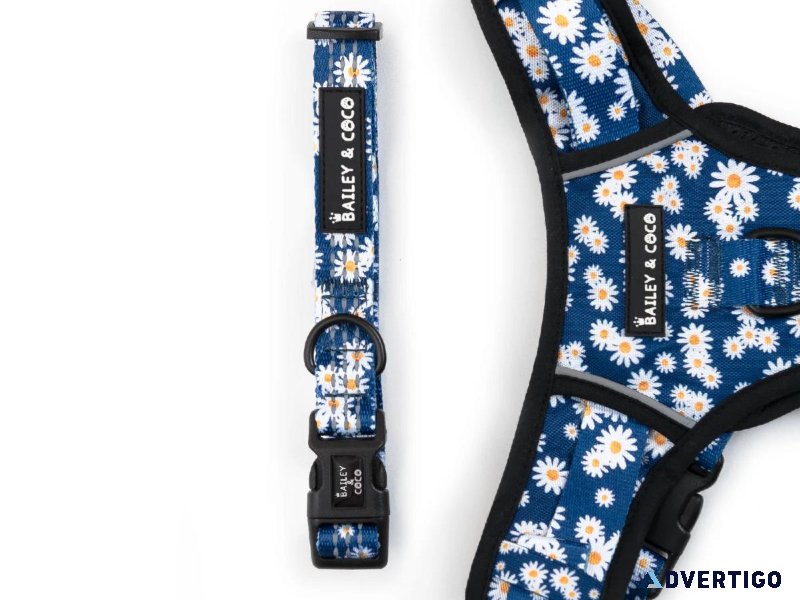 Premium Comfort for Your Furry Companion with Our Dog Collar
