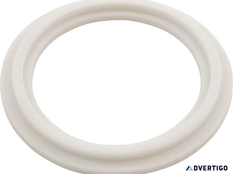 Waterway Plastics 2&Prime Heater O-RingGasket