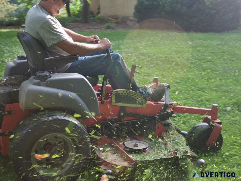 Professional Landscaping Services in Madison