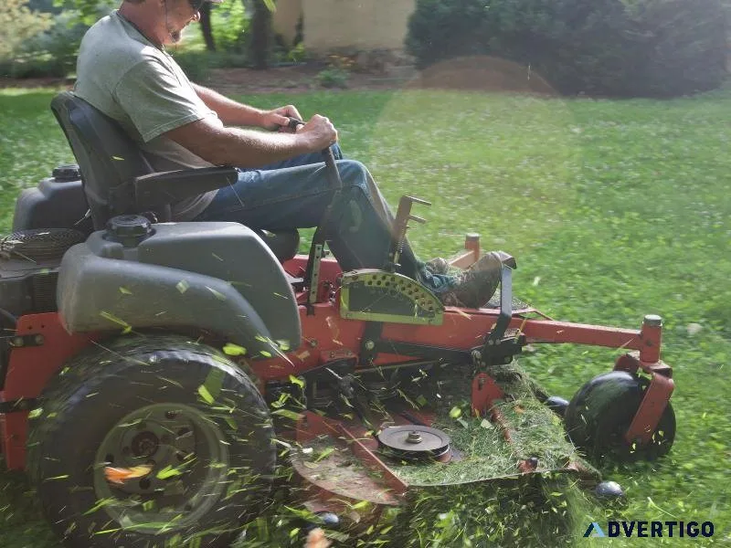 Professional Landscaping Services in Madison