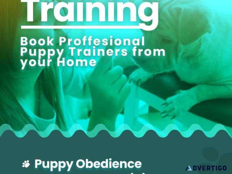 Dog Trainer Bangalore