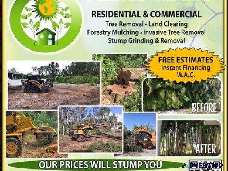 STUMP OR TREE REMOVAL LAND CLEARING FREE ESTIMATES