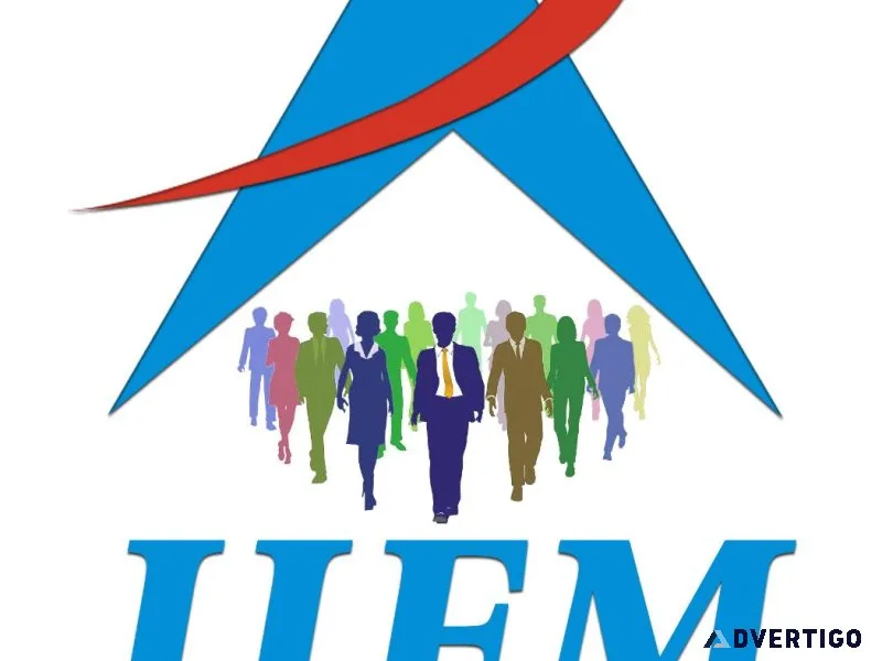 Junior Electrical Engineer