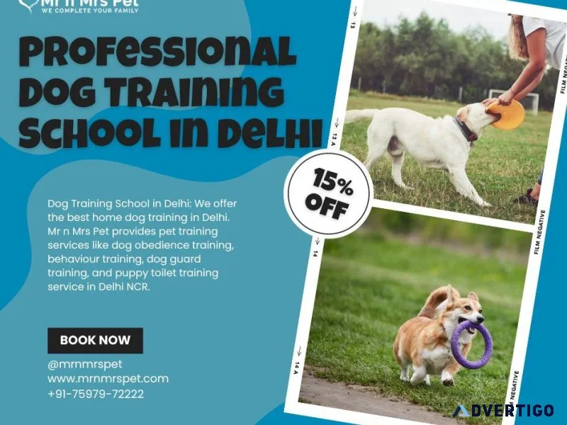 Professional Dog Training School in Delhi