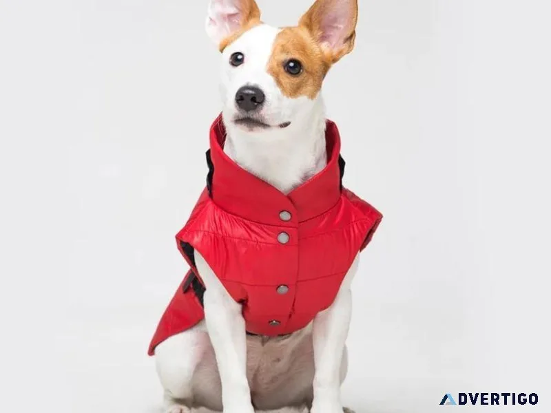 What s in your Dogs closet
