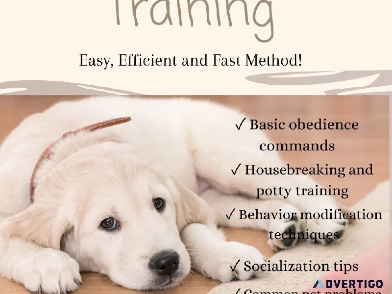 pet care and Training