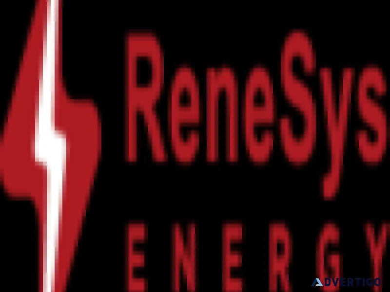 ReneSys ENERGY Inc